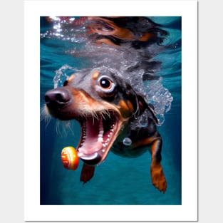 Dogs in Water #7 Posters and Art